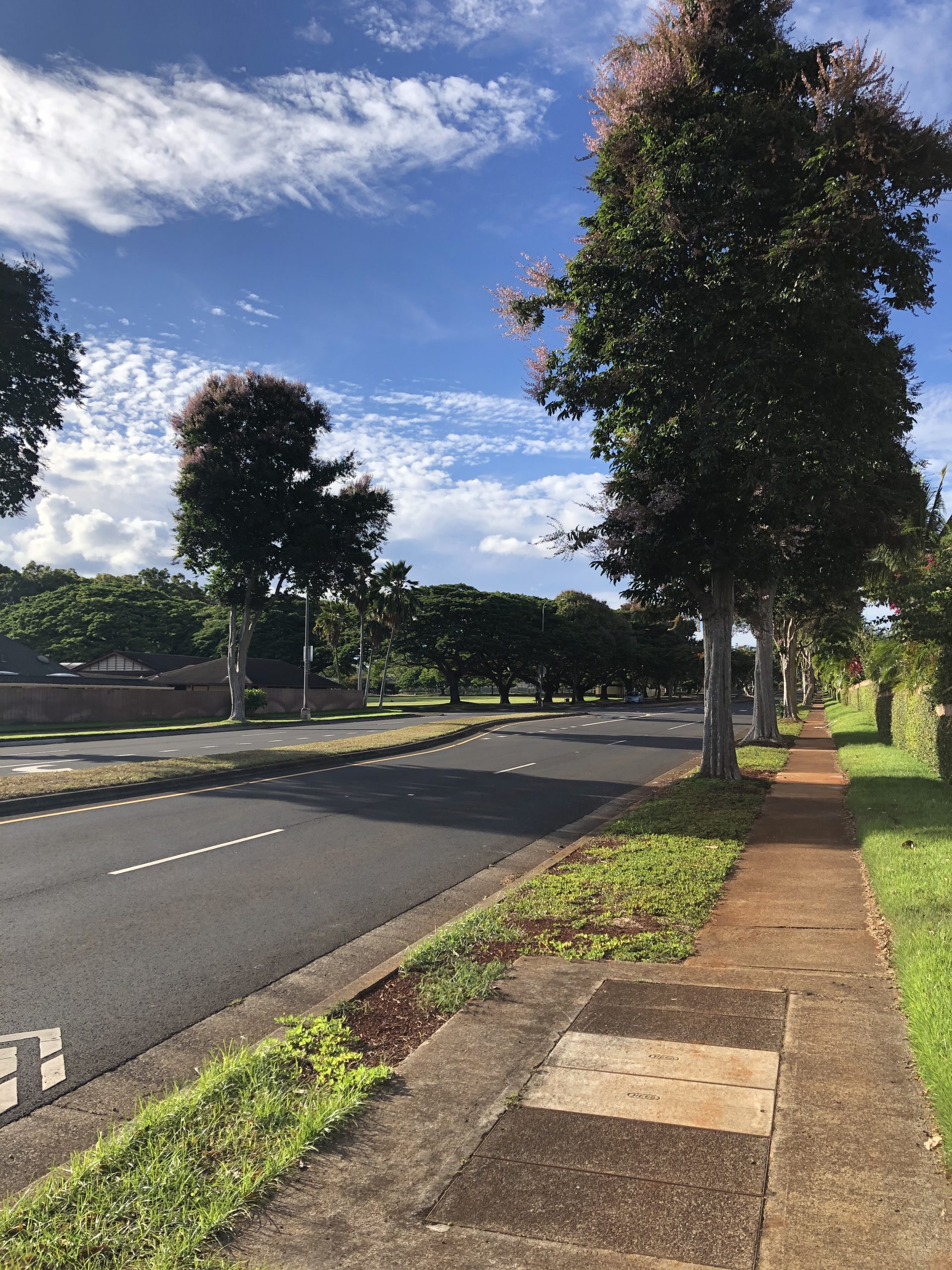 Mililani - Lower Mililani Street