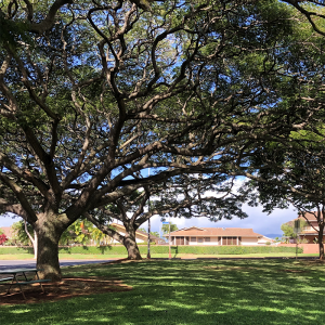 Mililani -Central Oahu-Real Estate Neighborhood Search Mililani -Central Oahu-Real Estate Neighborhood Search