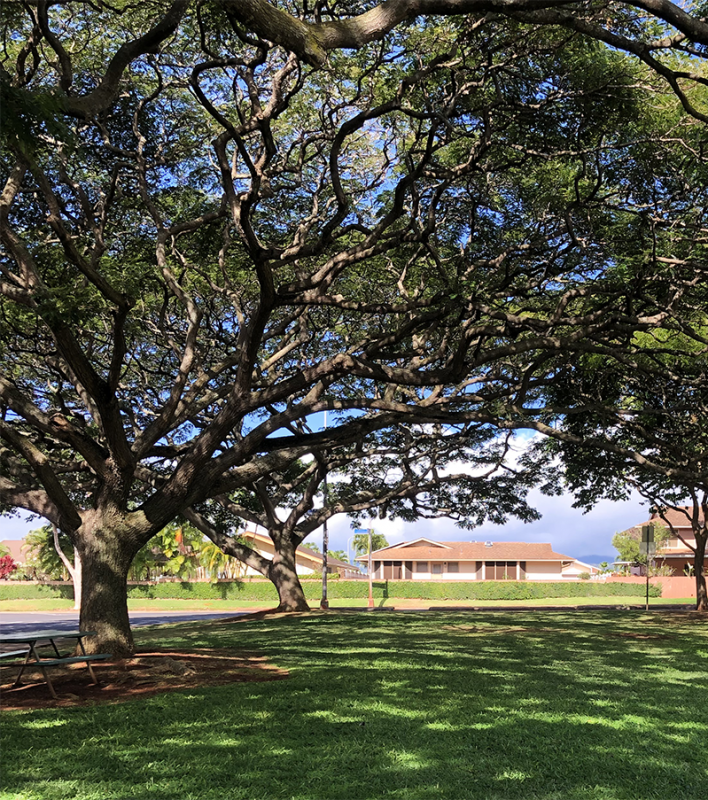 Central Oahu Real Estate Mililani & Mililani Mauka Homes & Condos