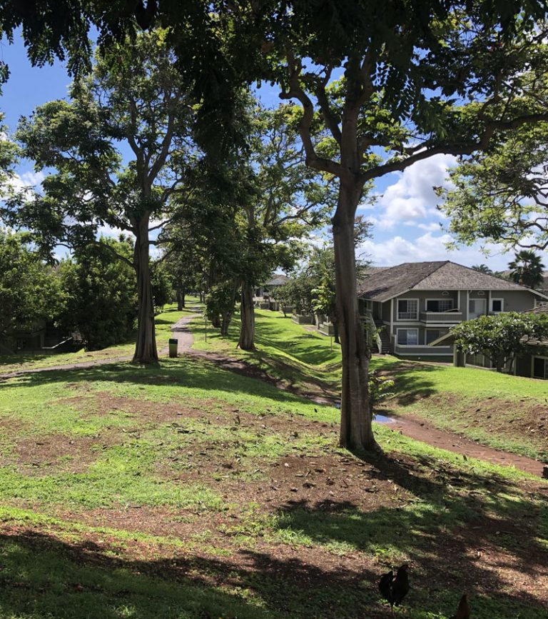 Central Oahu Real Estate Waipio Neighborhood Homes for Sale