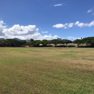 Waikele Community Park